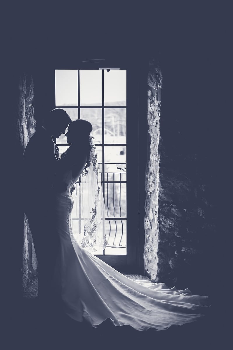 Timeless Silhouettes